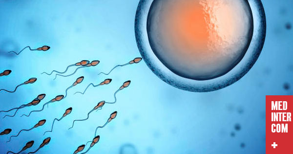 У западных мужчин снижается количество спермы