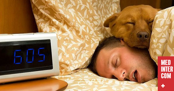 Вредно ли спать с собакой?