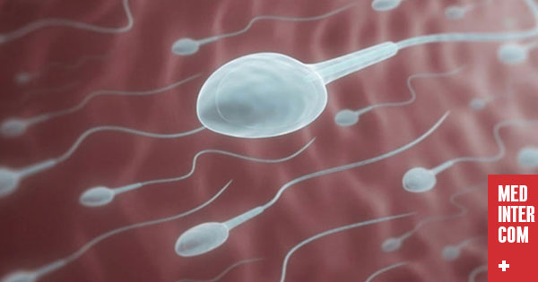 Ученые обнаружили неочевидную пользу спермы для зачатия